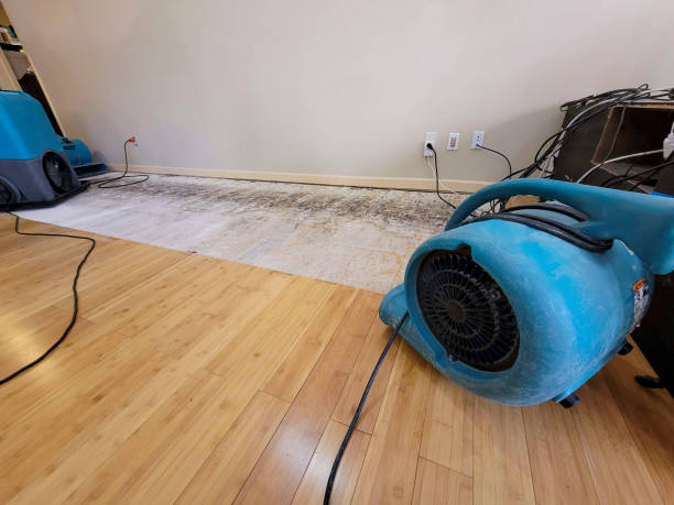 Professional Sewage Cleanup technician working in Marblehead, MA